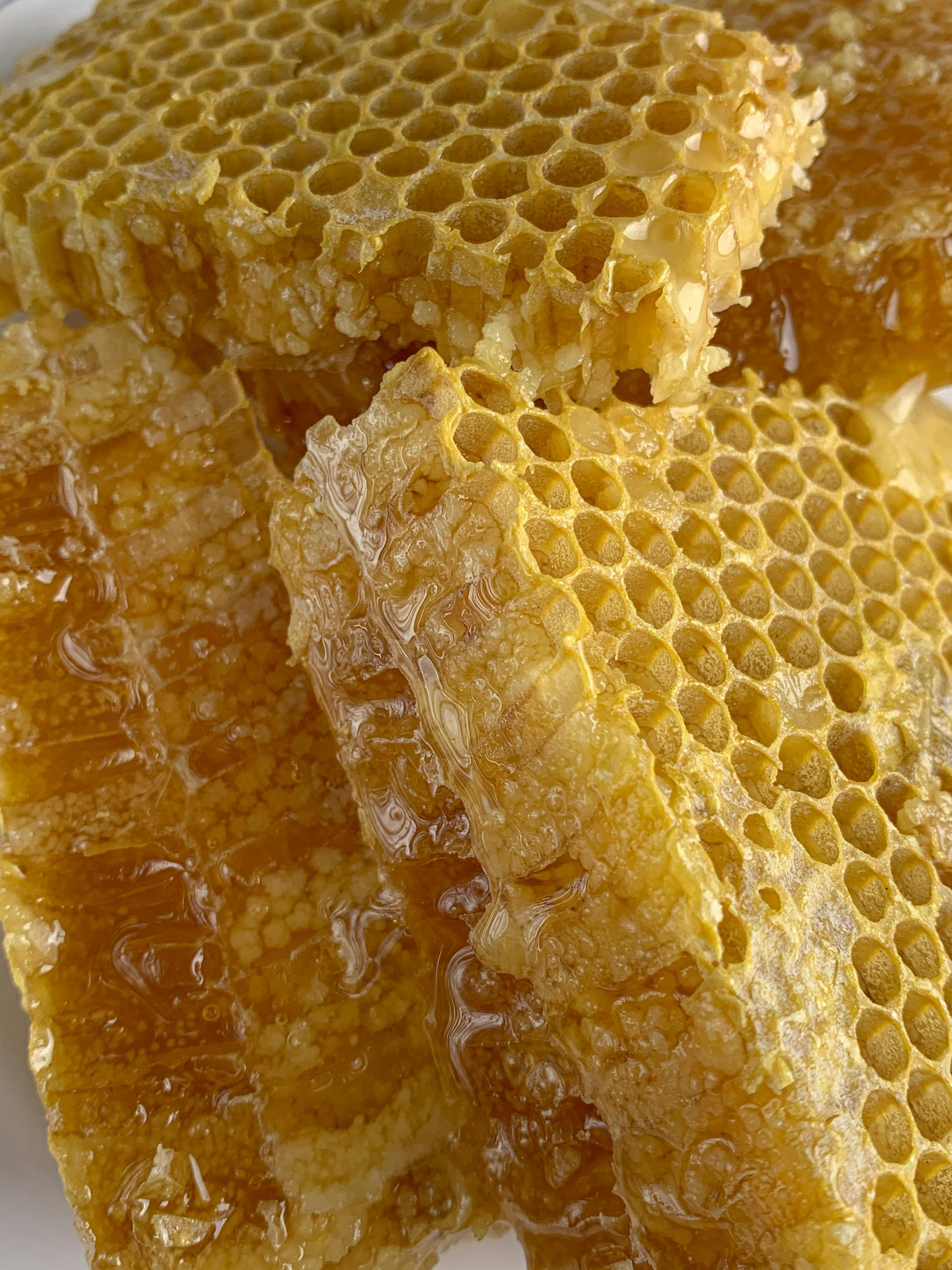 Happy, healthy bees