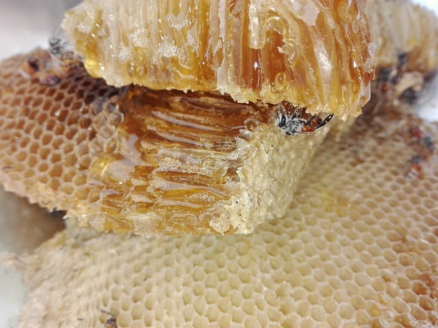 WHY RAW HONEY IS BETTER THAN PROCESSED HONEY – THE TRUTH BEHIND THE BUZZ - view 2